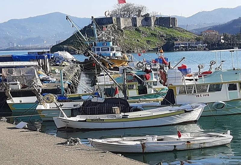 Rotanı Biraz meraka çevir